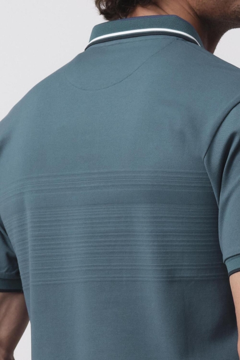 Campbell campbell warson polo km